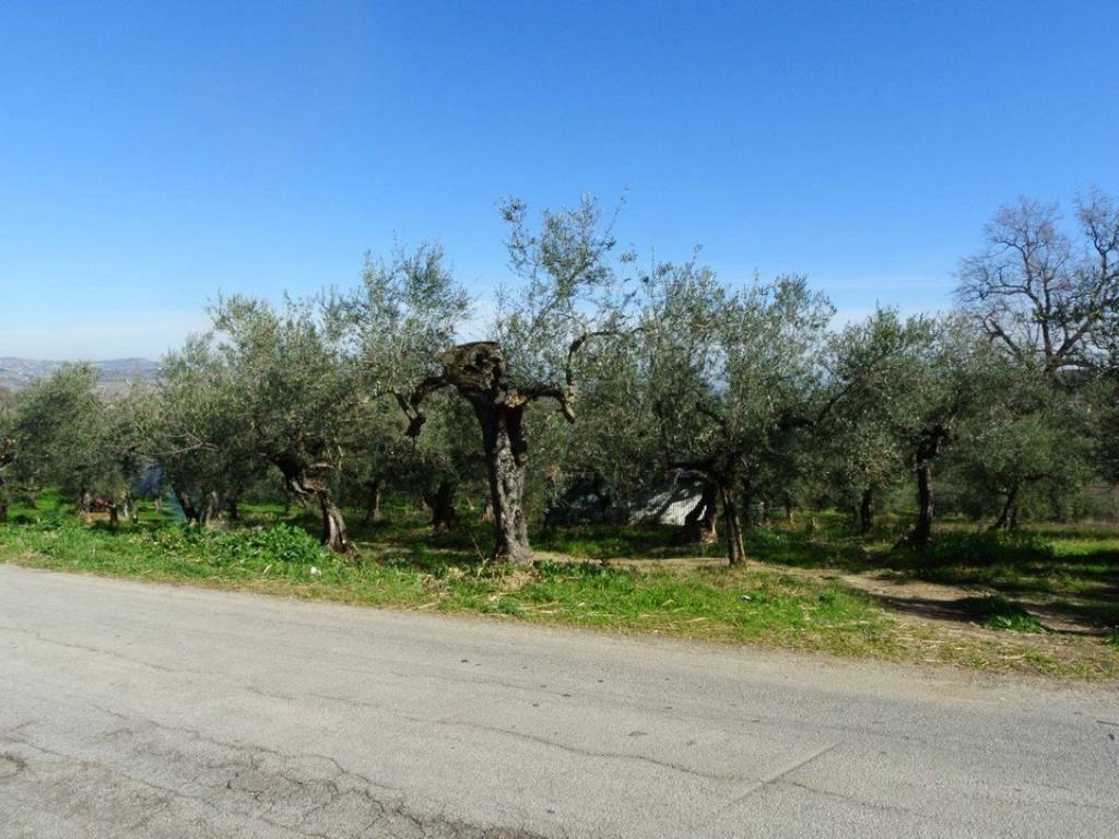 Rustico / casale a Moscufo in Strada Provinciale Pianella-Moscufo - Foto 2