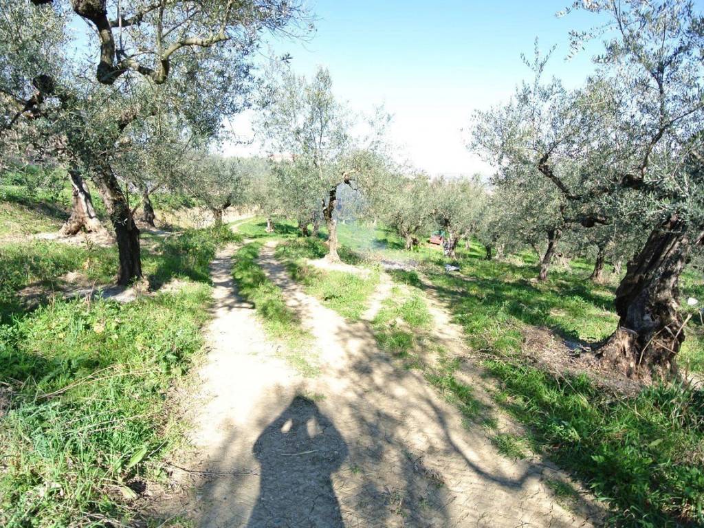 Rustico / casale a Moscufo in Strada Provinciale Pianella-Moscufo - Foto 3