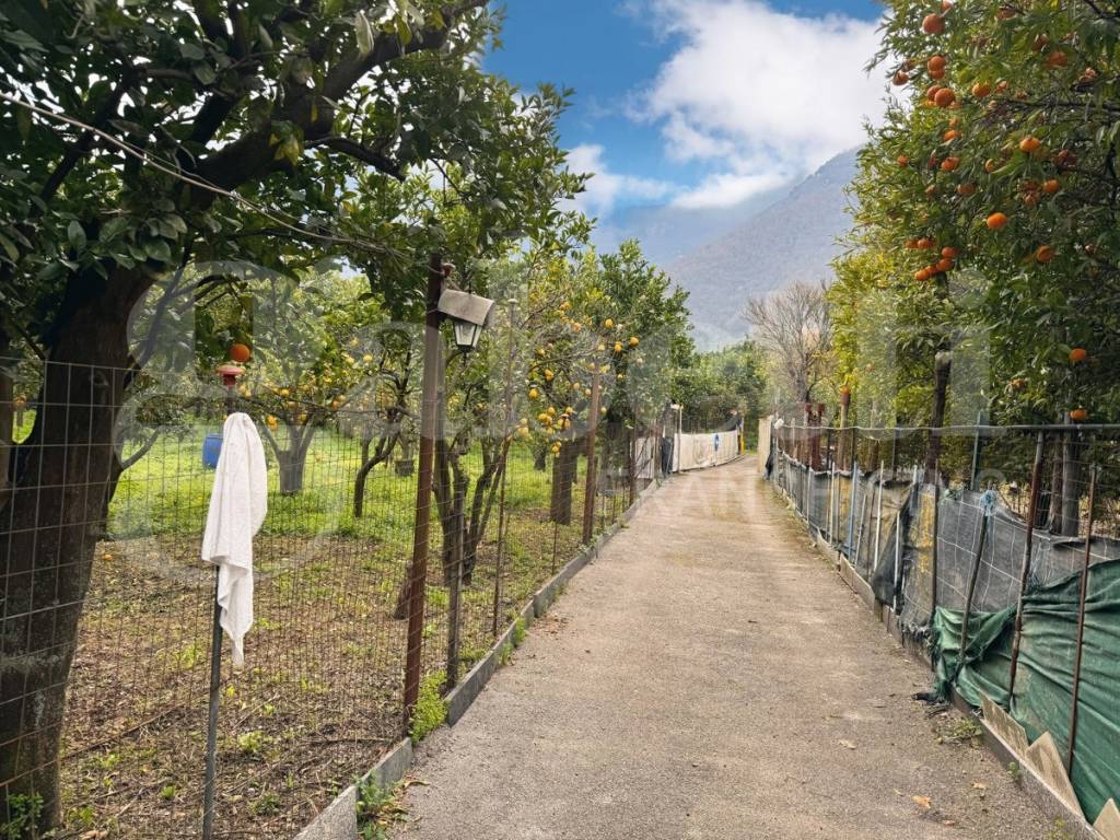 Terreno a Sant'egidio del monte albino - Foto 2