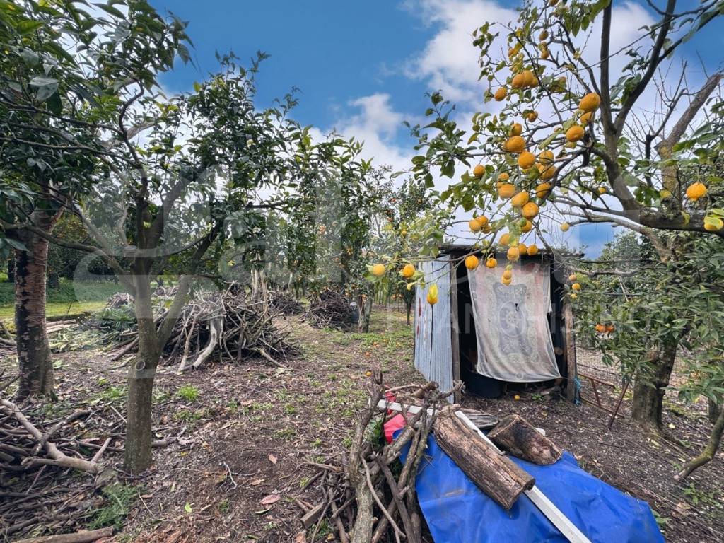 Terreno a Sant'egidio del monte albino - Foto 3