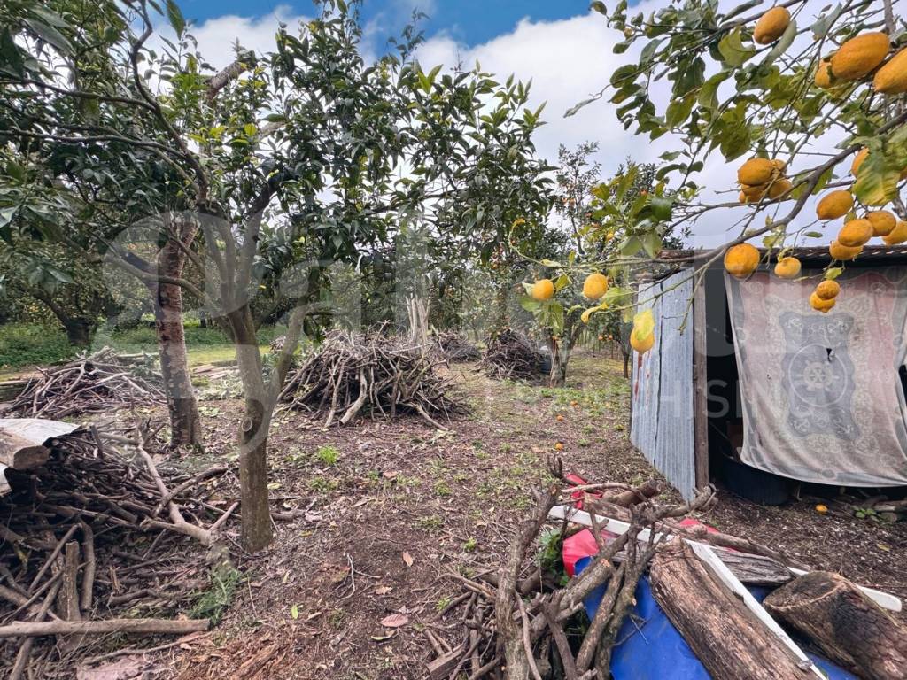 Terreno a Sant'egidio del monte albino - Foto 4