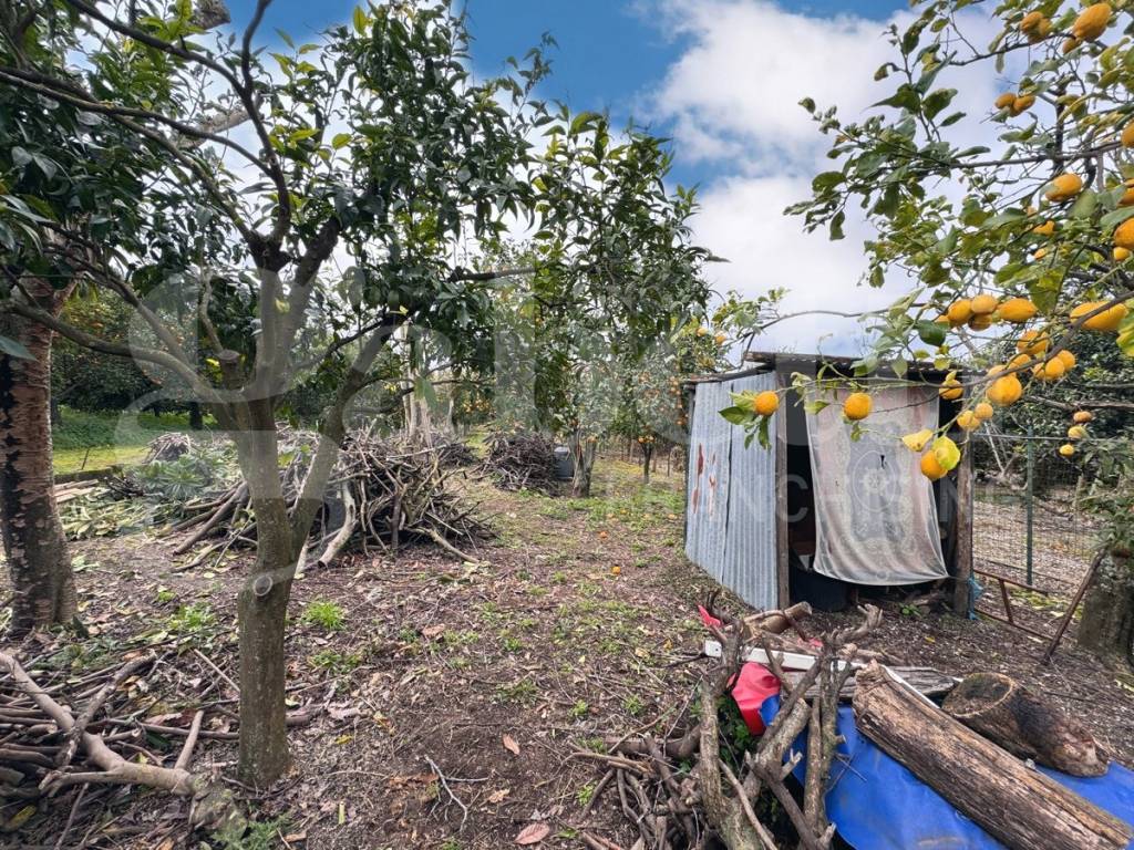 Terreno a Sant'egidio del monte albino - Foto 5