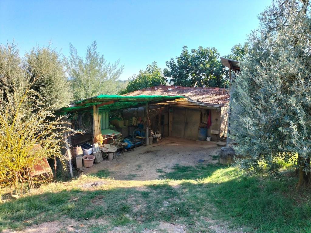 Terreno a Montevarchi - Foto 2