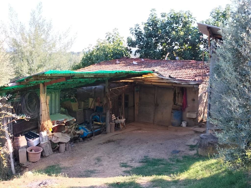 Terreno a Montevarchi - Foto 3