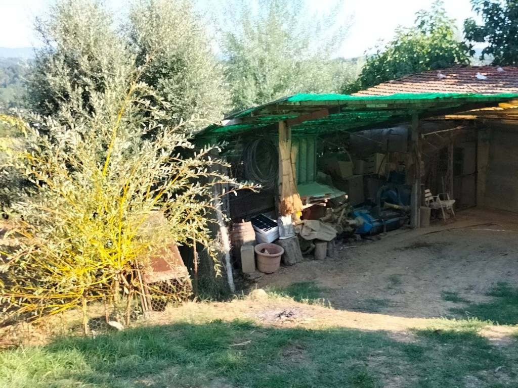 Terreno a Montevarchi - Foto 4