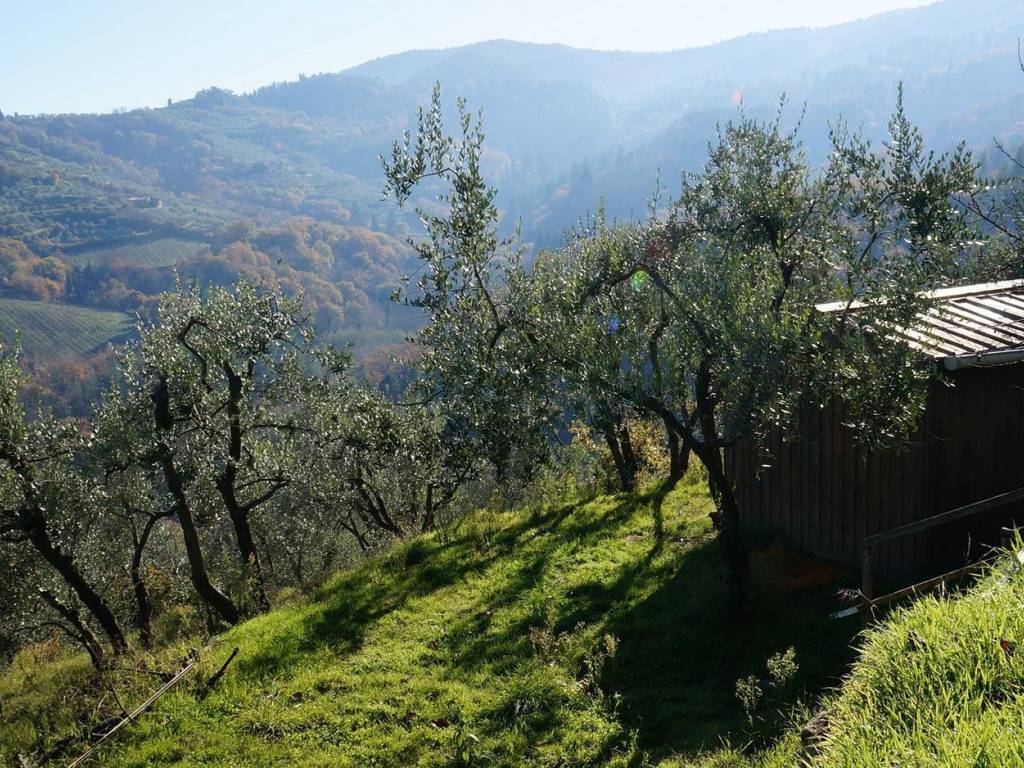 Appartamento a Cavriglia - Foto 5