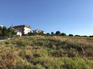 Terreno a Senigallia - Foto 2