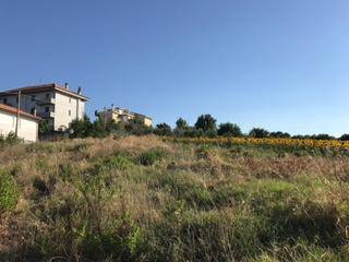 Terreno a Senigallia - Foto 4