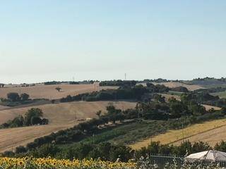 Terreno a Senigallia - Foto 5