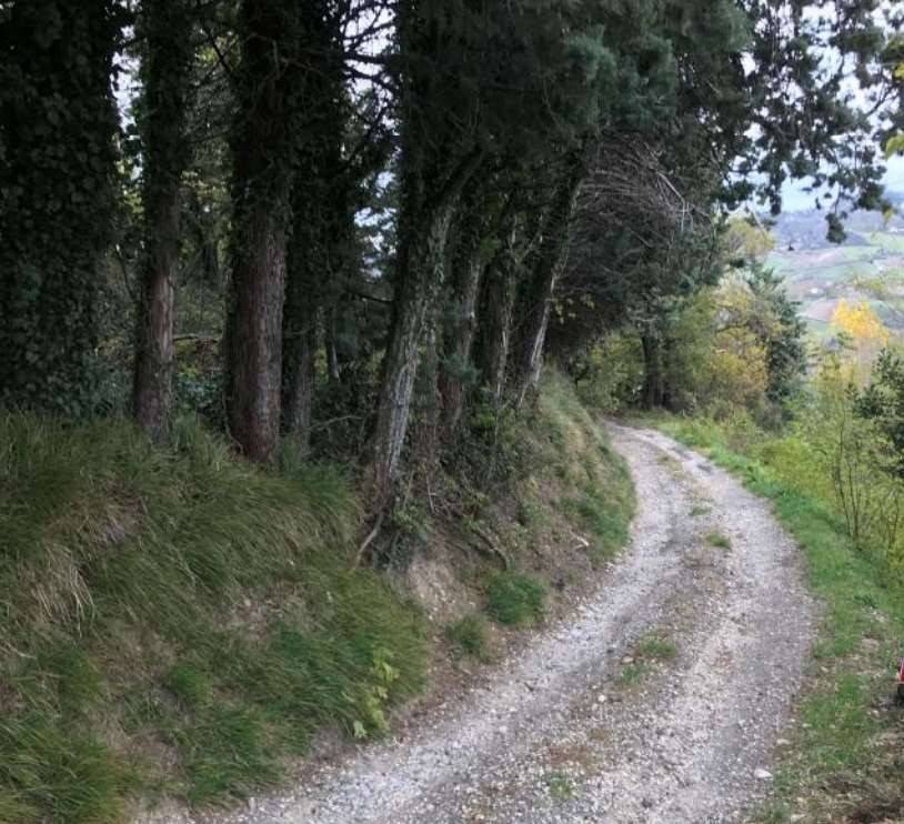 Casa indipendente a Monzuno in Località la Serra - Foto 4