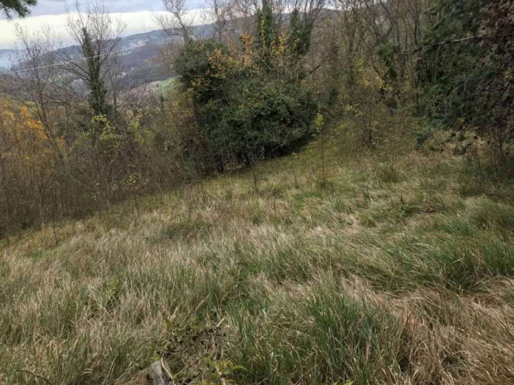 Casa indipendente a Monzuno in Località la Serra - Foto 5