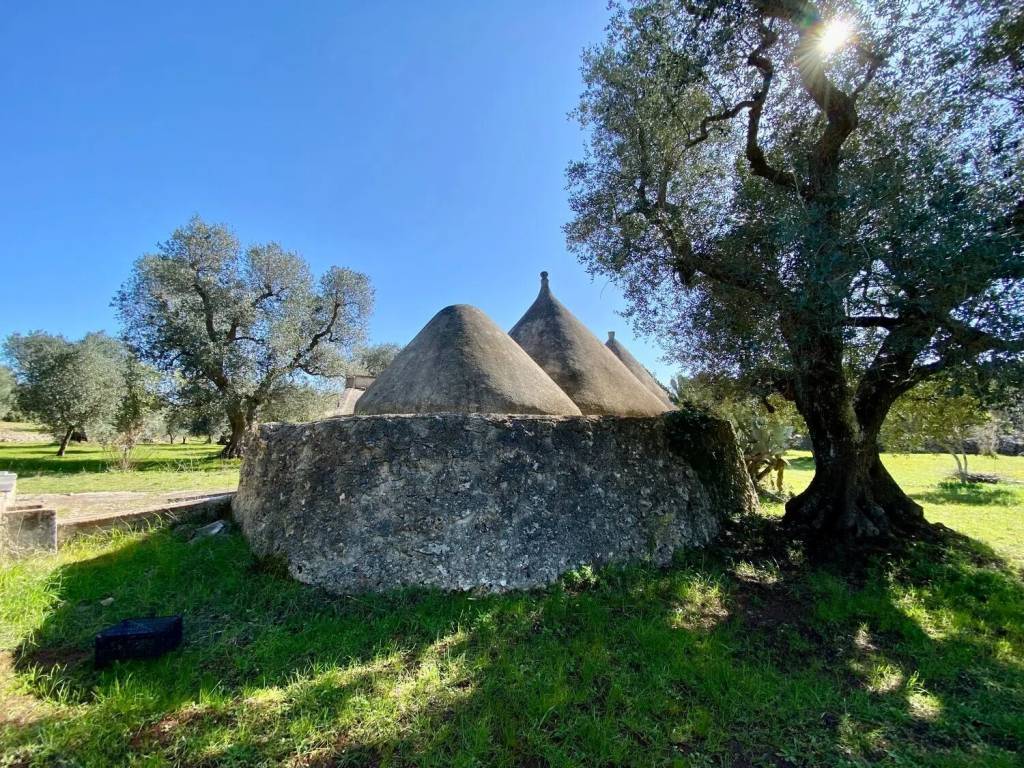 Rustico / casale a Ceglie messapica in Contrada Circiello - Foto 2