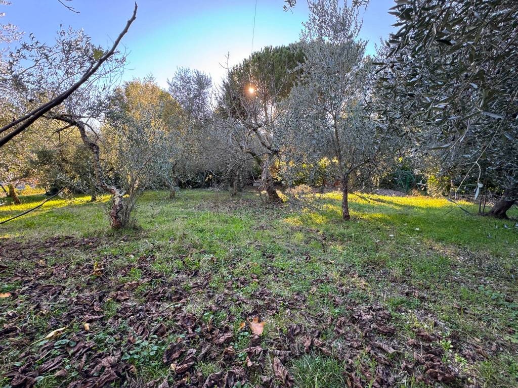 Rustico / casale a Pontassieve in Via del Palagio in Colognole, 62 - Foto 4