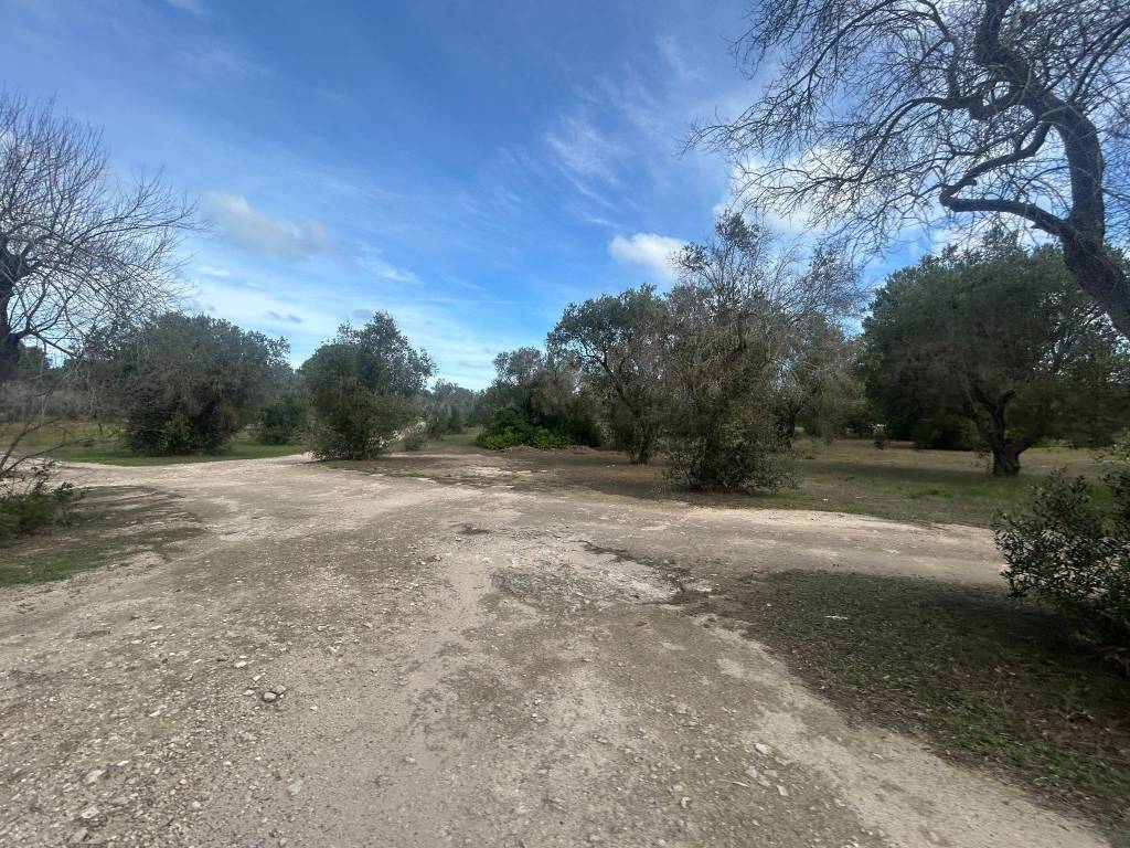 Terreno a Lecce in Strada Provinciale Lecce San Cataldo - Foto 3