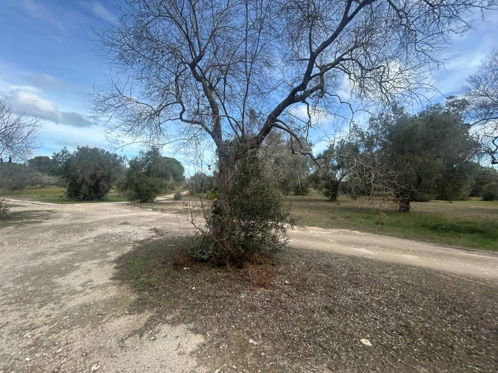 Terreno a Lecce in Strada Provinciale Lecce San Cataldo - Foto 4