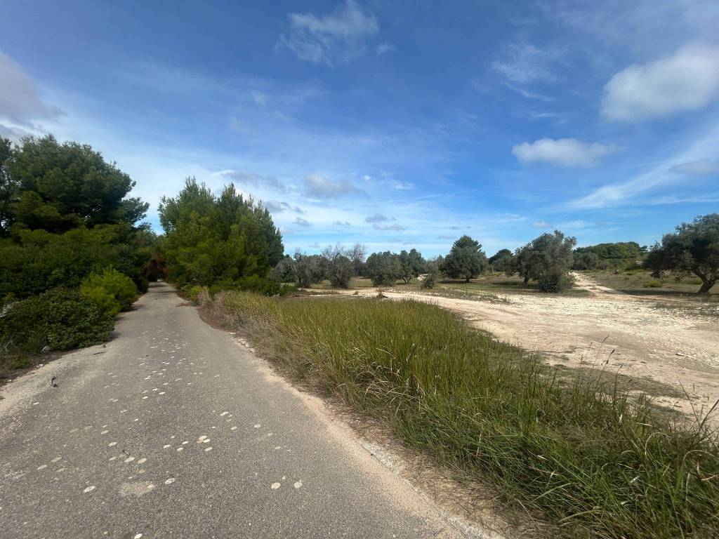 Terreno a Lecce in Strada Provinciale Lecce San Cataldo - Foto 5