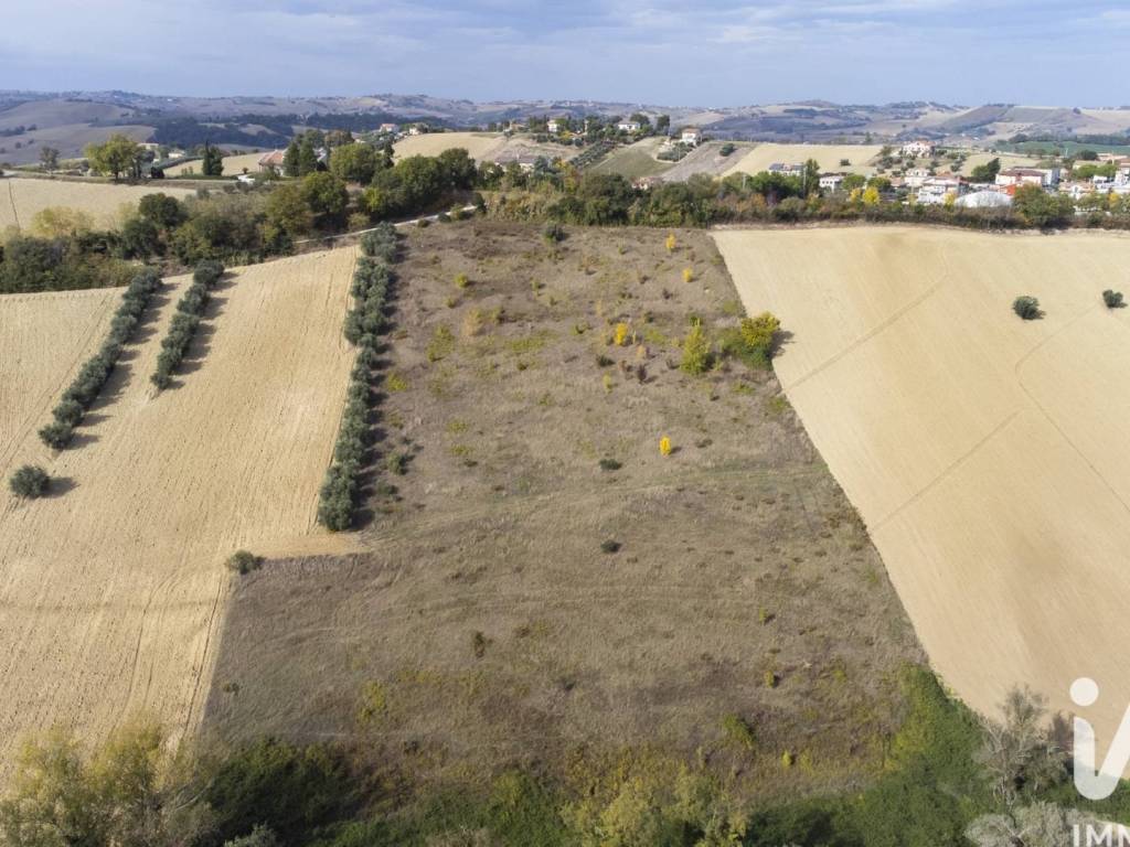 Terreno a Filottrano in Via Montoro - Foto 2