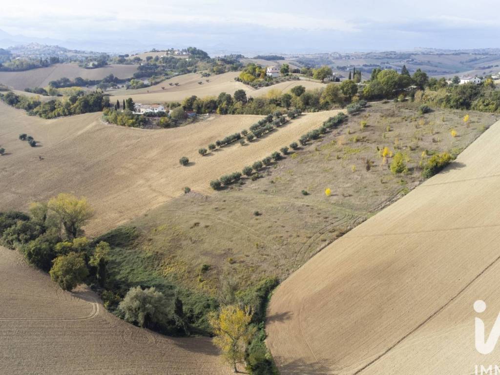 Terreno a Filottrano in Via Montoro - Foto 5