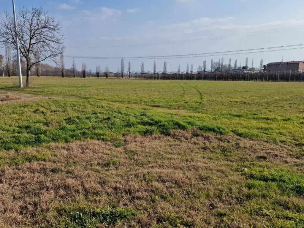 Rustico / casale a Spilamberto in Via Modenese - Foto 3