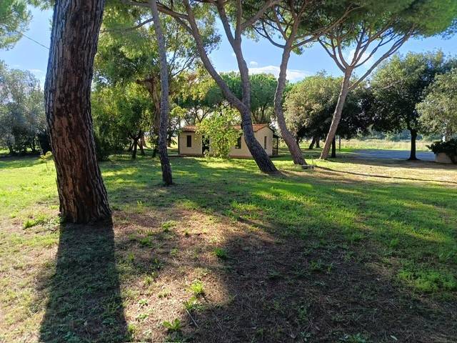 Rustico / casale a Piombino in Località Franciana - Foto 3