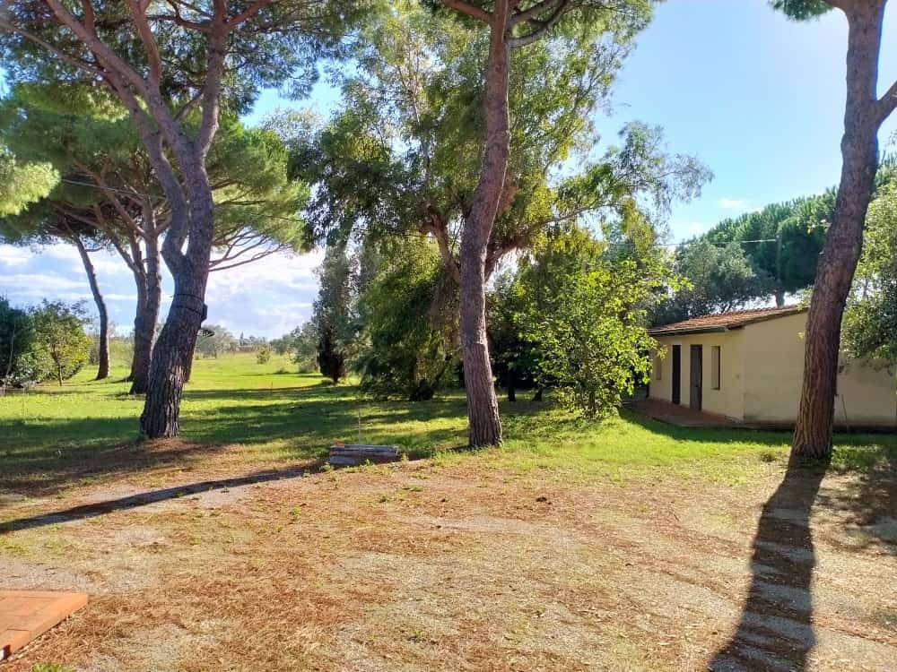 Rustico / casale a Piombino in Località Franciana - Foto 4