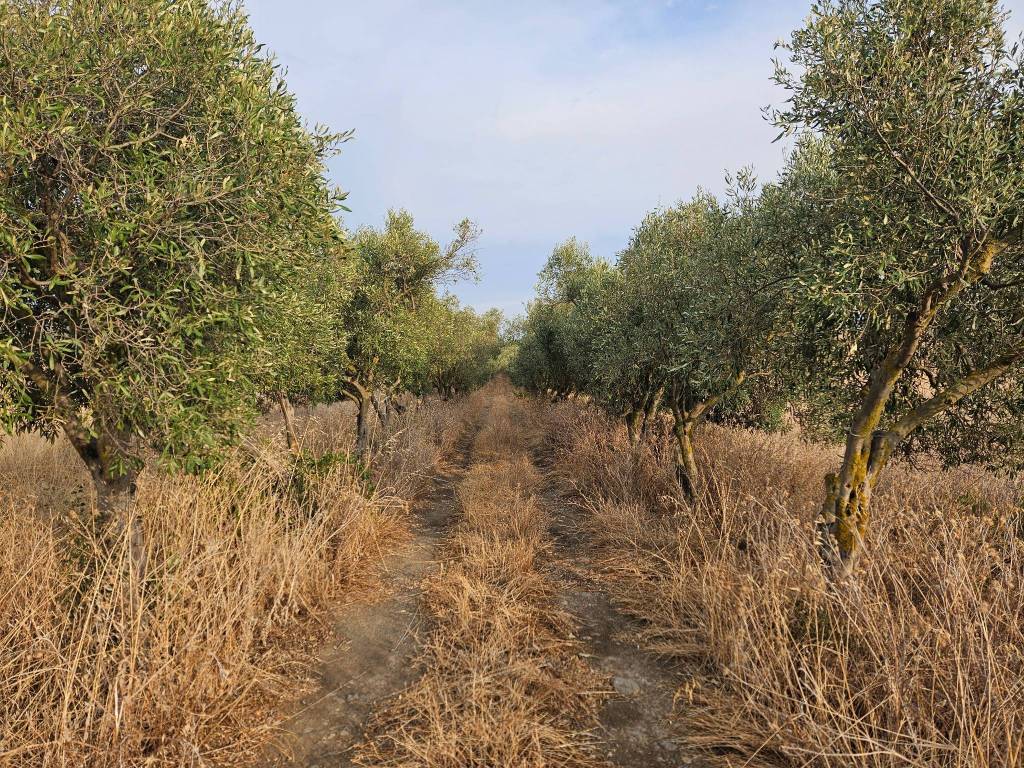 Terreno a Soleminis in SS387 - Foto 2