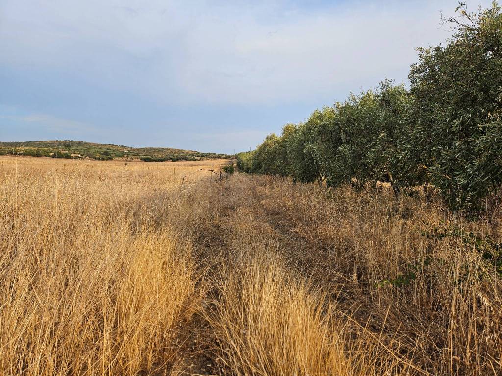 Terreno a Soleminis in SS387 - Foto 3