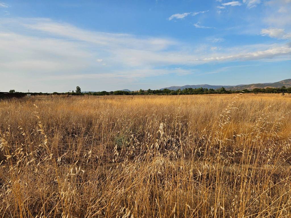 Terreno a Soleminis in SS387 - Foto 4