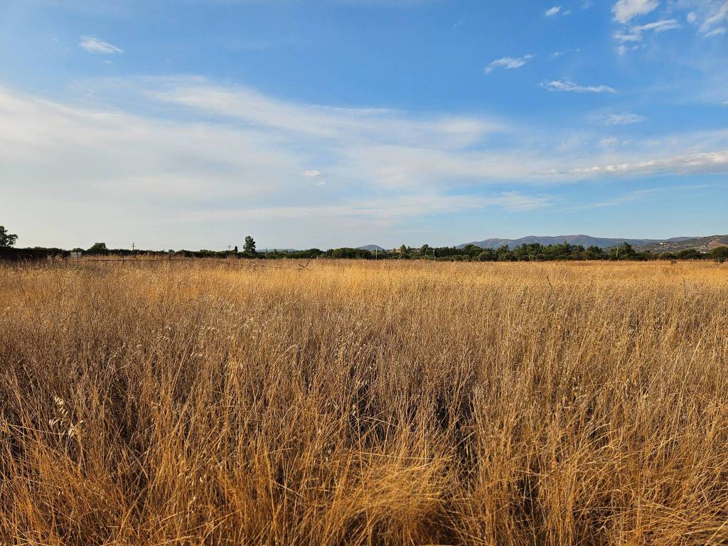 Terreno a Soleminis in SS387 - Foto 5