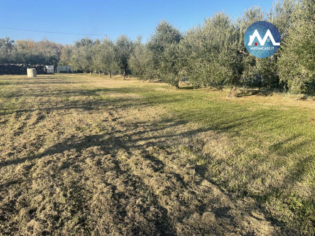 Terreno a Pesaro in Strada Lago di Lesina - Foto 3