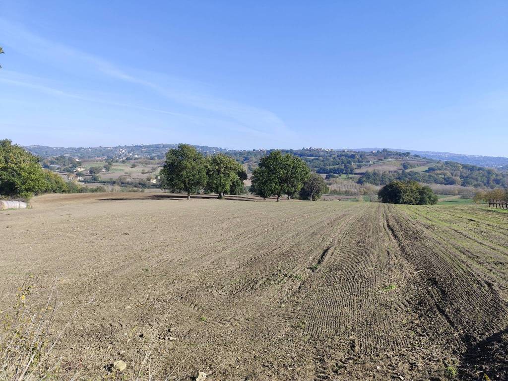 Terreno a Torre le nocelle in SP234 - Foto 5