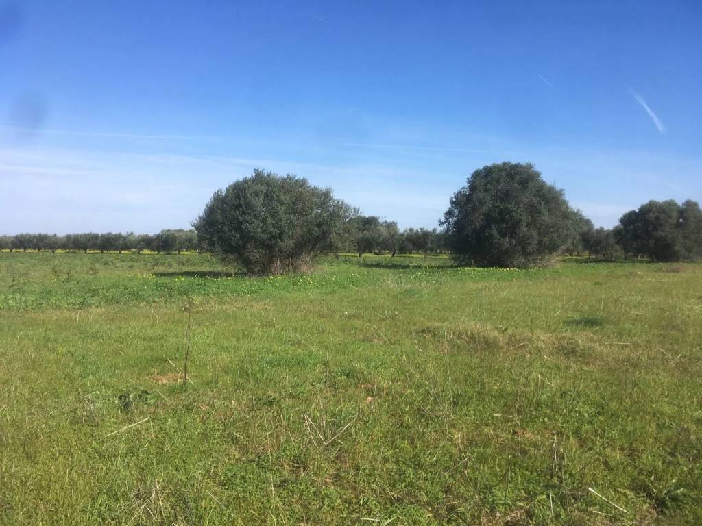 Terreno a Brindisi in Contrada Muscia - Foto 4