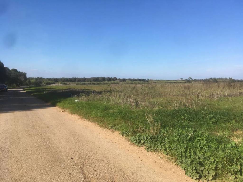 Terreno a Brindisi in Contrada Muscia - Foto 5