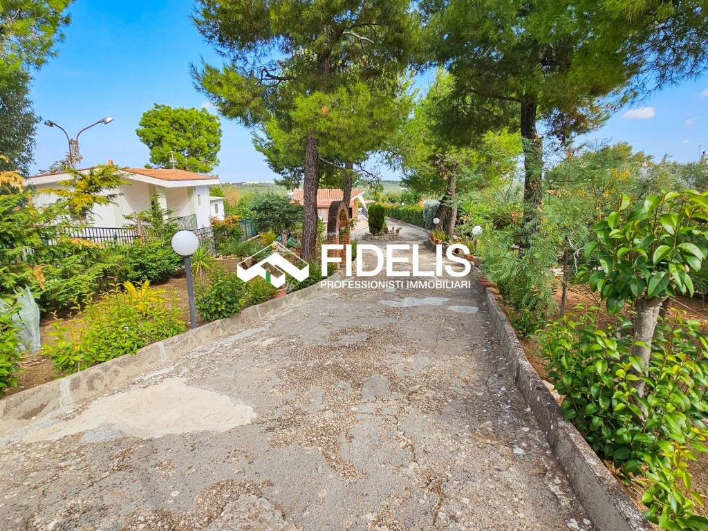 Villa a Andria in Viale Madama Camilla - Foto 3
