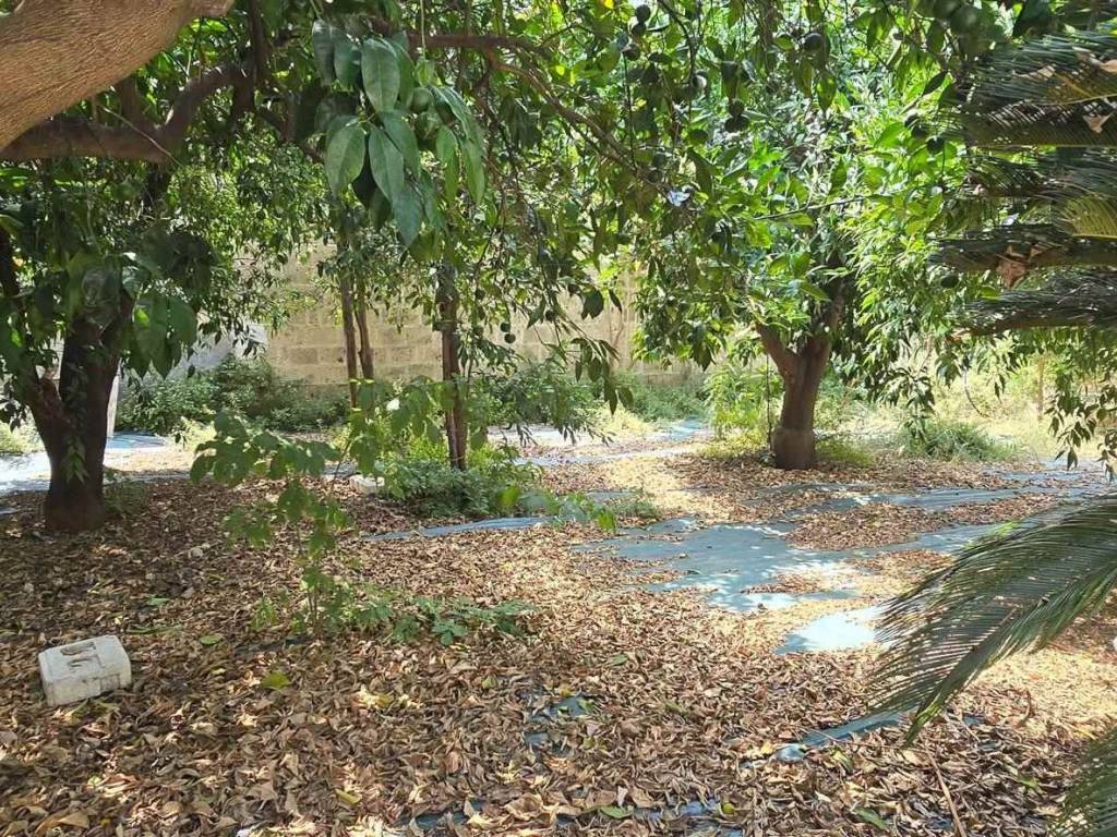 Appartamento a Marcianise - Foto 3