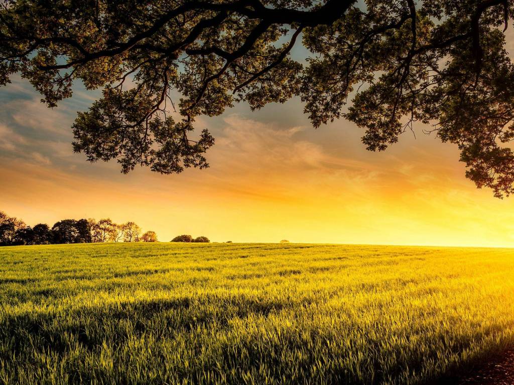 Terreno a Codroipo - Foto 2