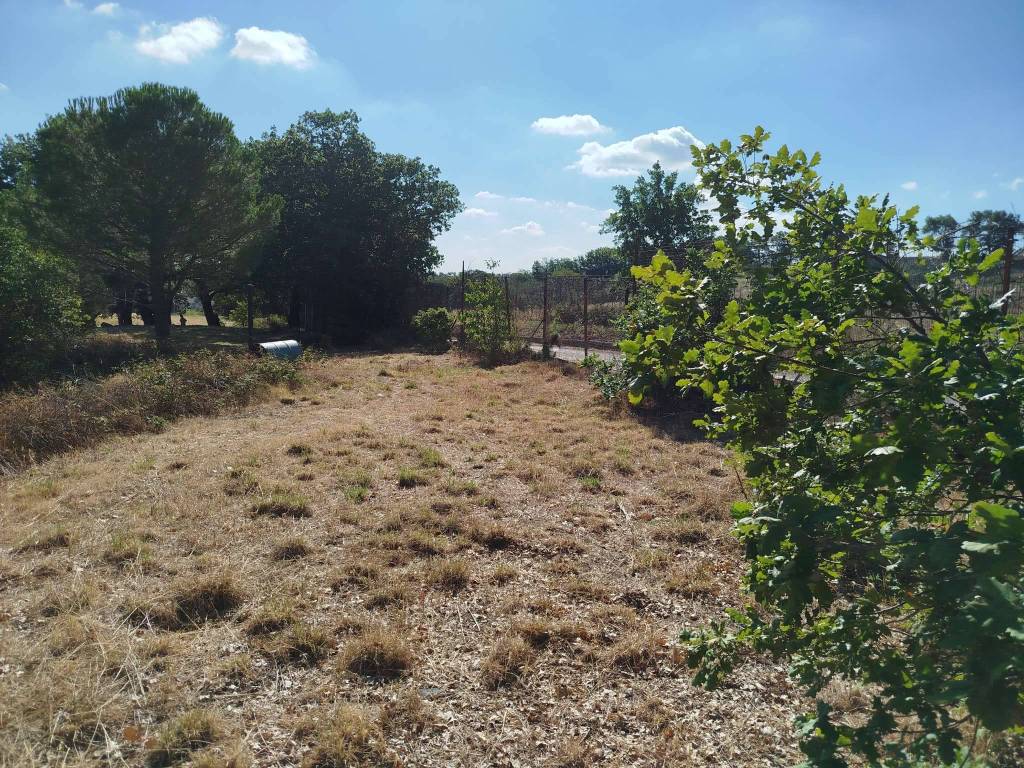 Rustico / casale a Biccari in via Lago Pescara snc - Foto 5