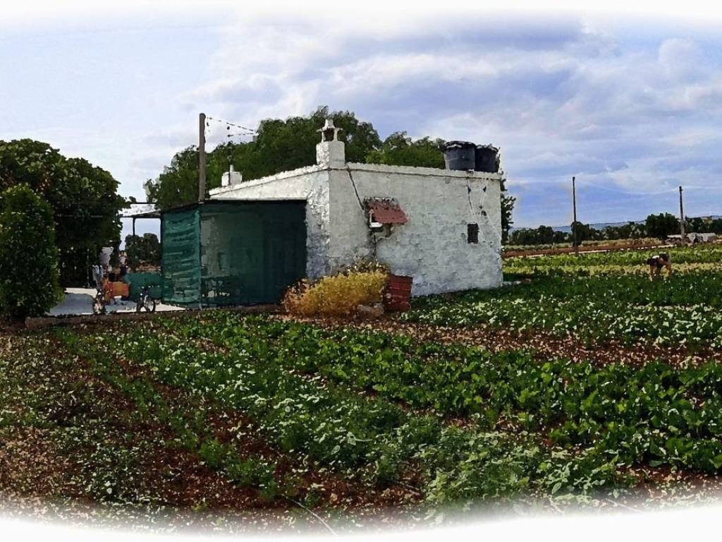 Rustico / casale a Fasano in SP90 - Foto 2