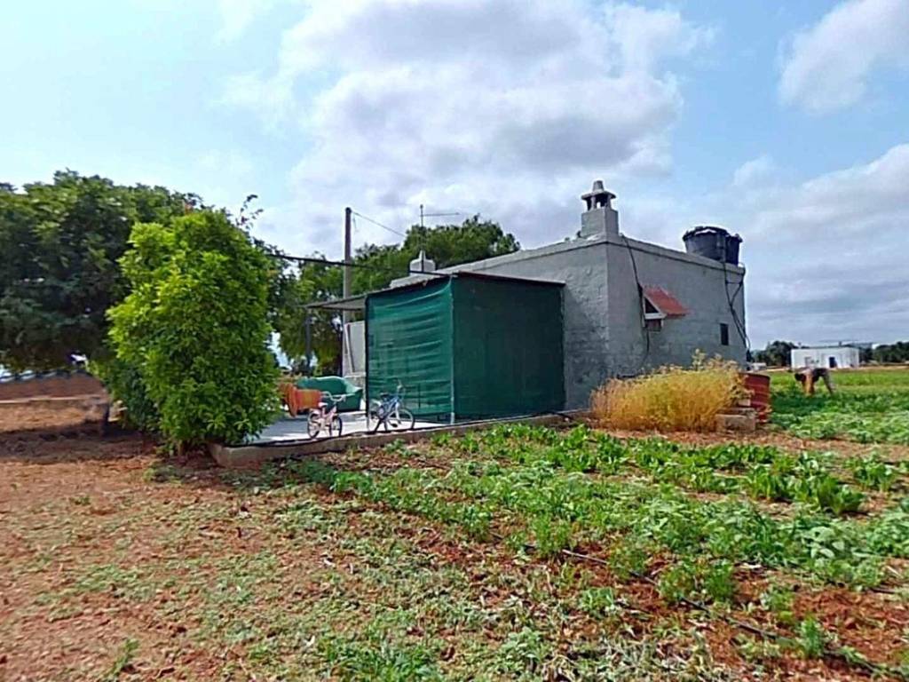 Rustico / casale a Fasano in SP90 - Foto 3