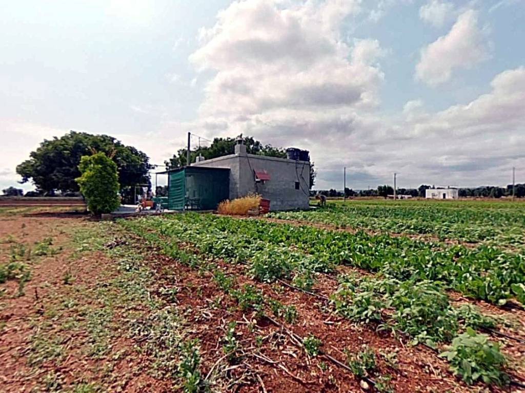 Rustico / casale a Fasano in SP90 - Foto 4