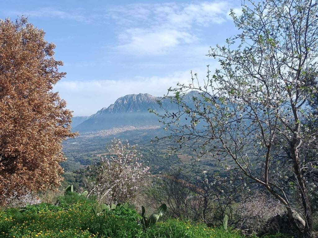 Terreno a Nuoro in SS389 - Foto 2