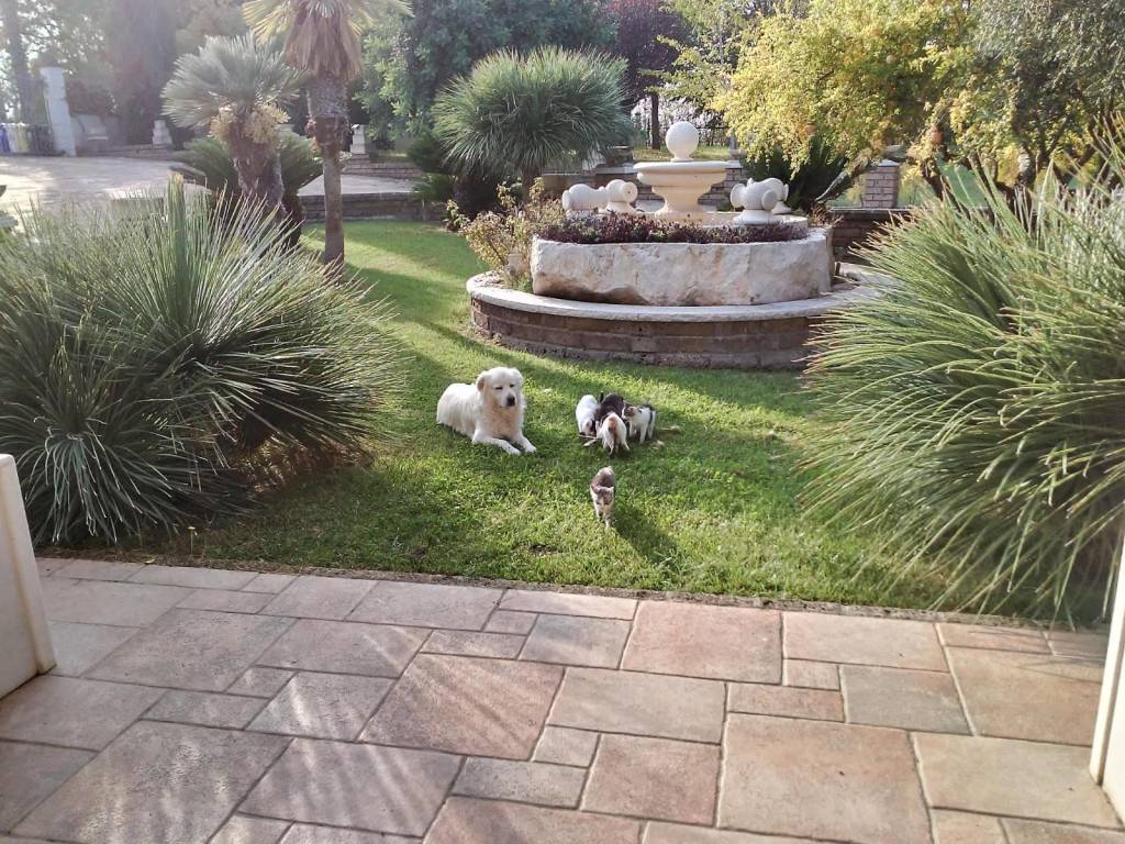 Villa a Larino - Foto 4