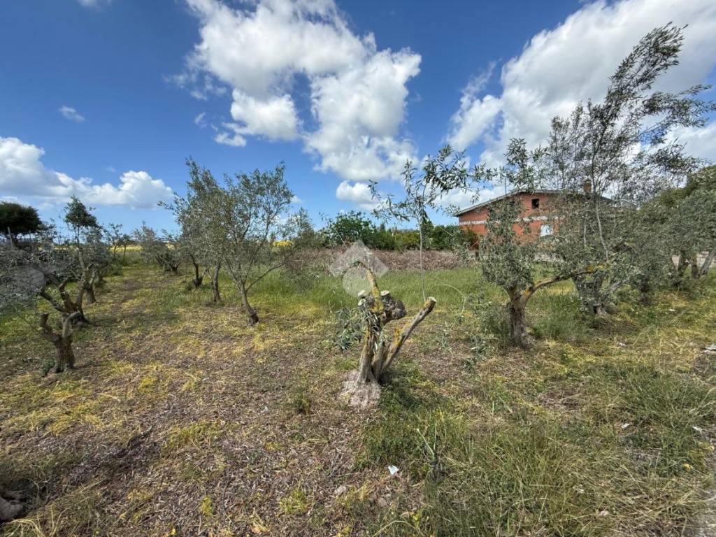 Terreno a Giba in Via Amsicora - Foto 3