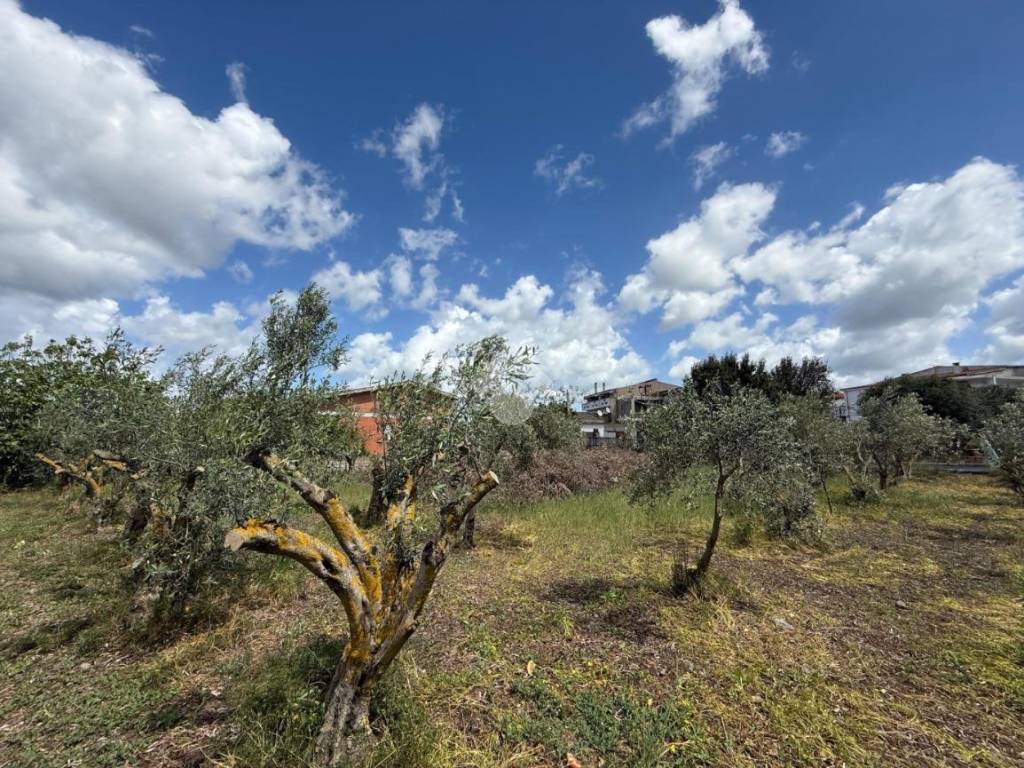 Terreno a Giba in Via Amsicora - Foto 4