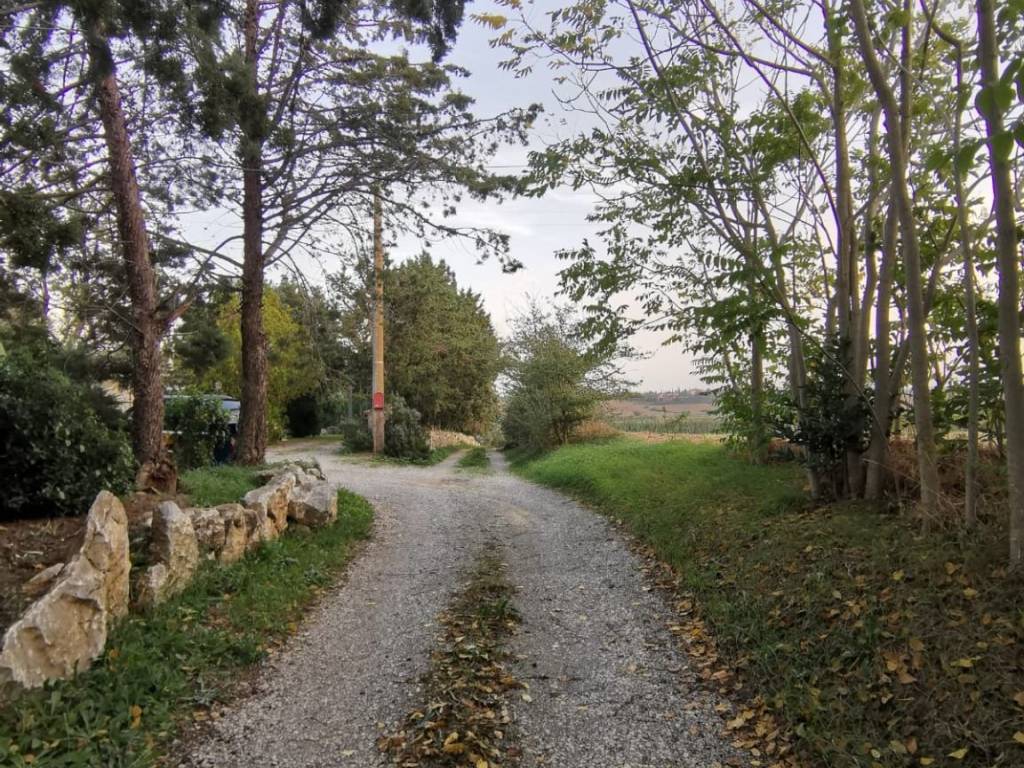 Villa a Magliano in toscana - Foto 2