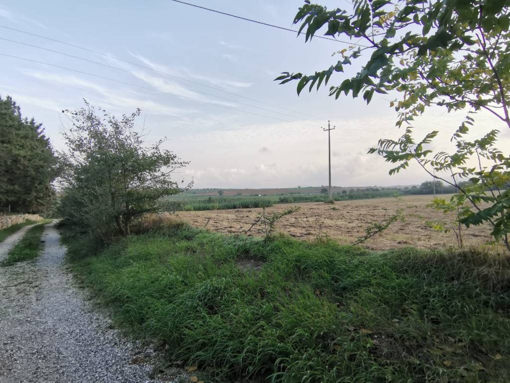 Villa a Magliano in toscana - Foto 3