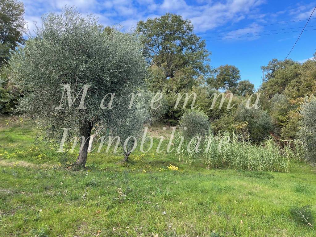 Terreno a Manciano in Località Piagge - Foto 3