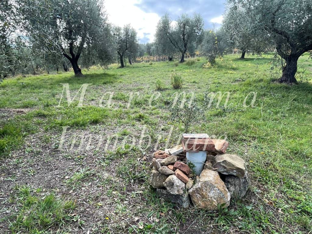 Terreno a Manciano in Località Piagge - Foto 5