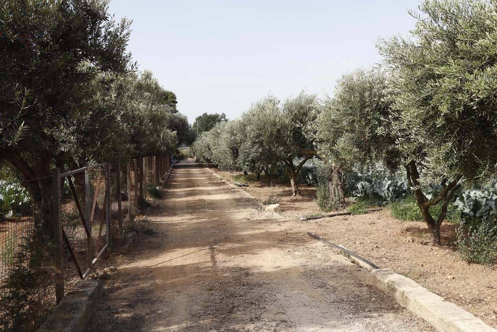 Villa a Marsala in Contrada Casabianca - Foto 5
