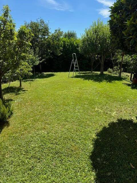 Villetta a schiera a Calci - Foto 5